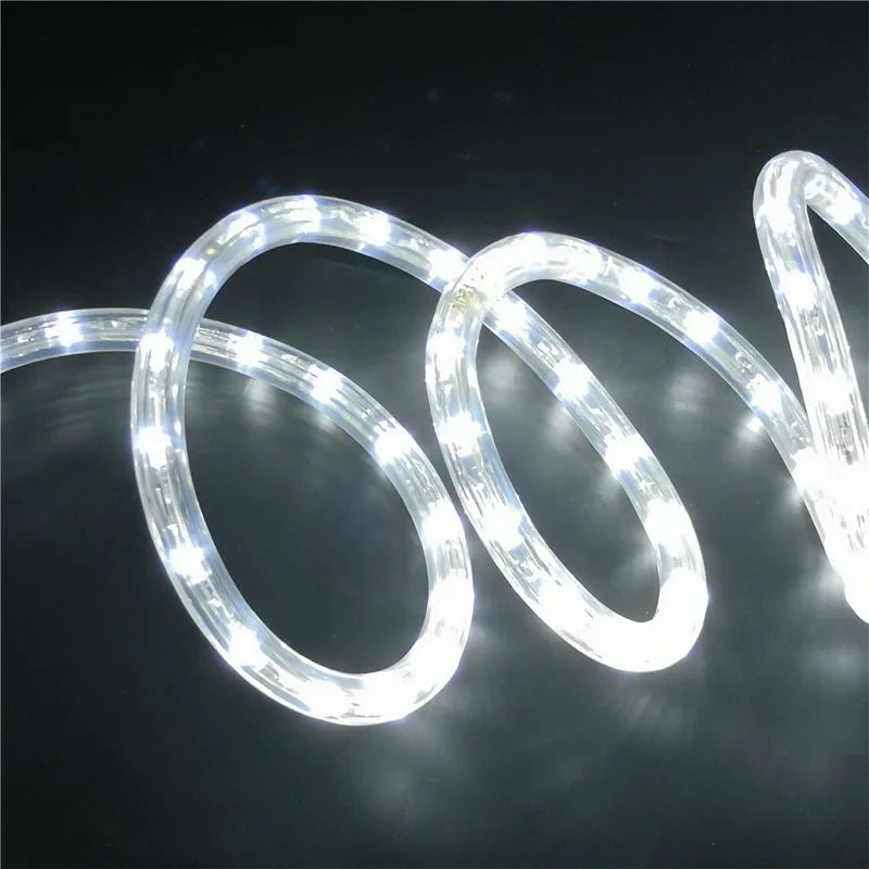 Rope Light 120V COOL WHITE 50m 13mm Dia 30 LED/m